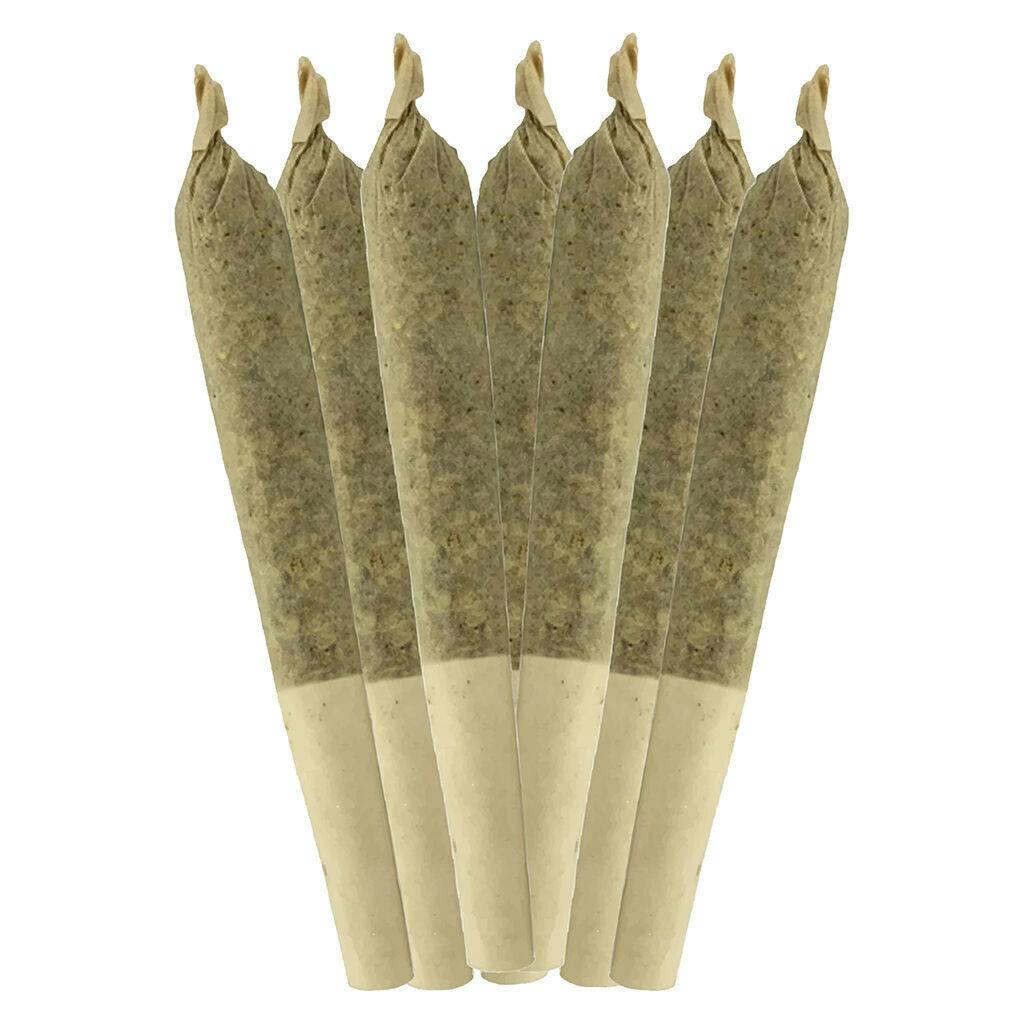 Coffin Candy | Minis | 0.5g | 7pk