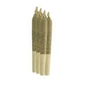 Trop Juice | Joints | 0.5g | 7pk