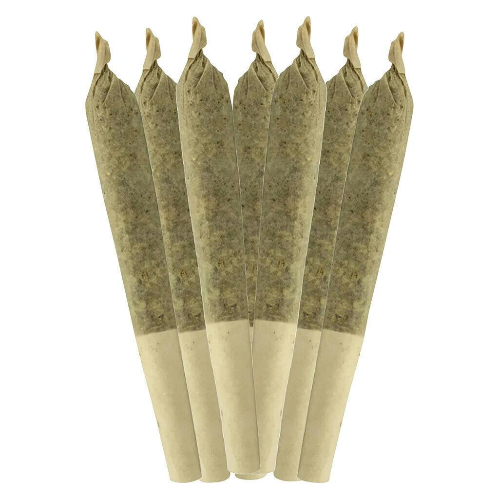 Dia De Los Muertos | Joints | 1g