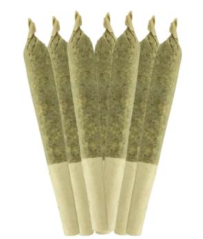 Key Lime Pie | Minis | 0.5g | 7pk