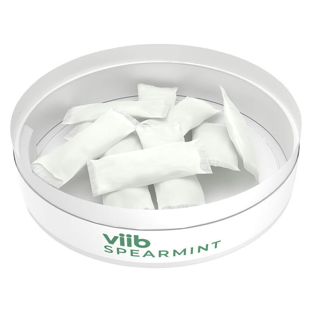 Spearmint 4 :1 THC CBG Pouches | Mints | 33pk | 10mg/ea