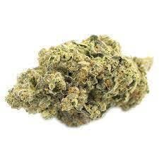 Reserve 25 Plus | 28g