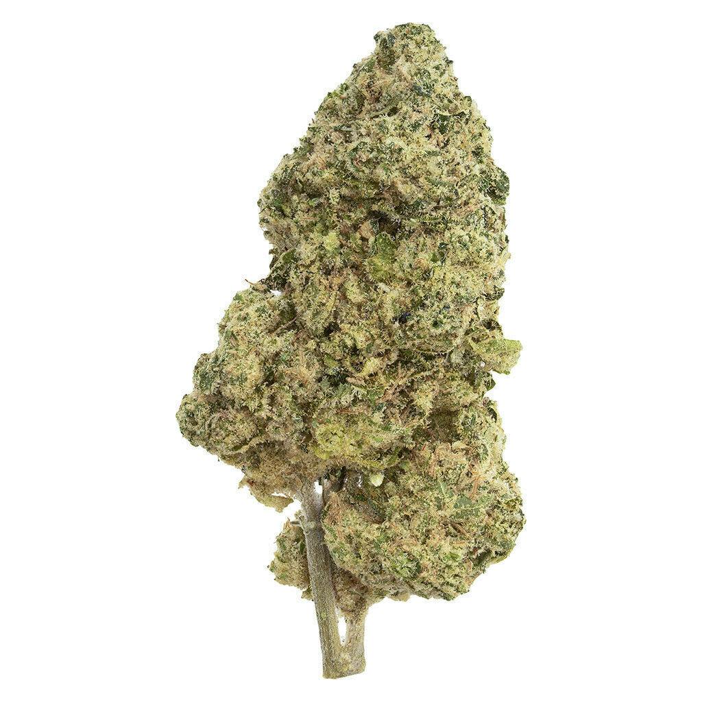 Big Buds | 7g
