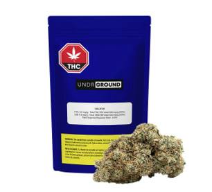 Violator Kush | Big Buds | 3.5g