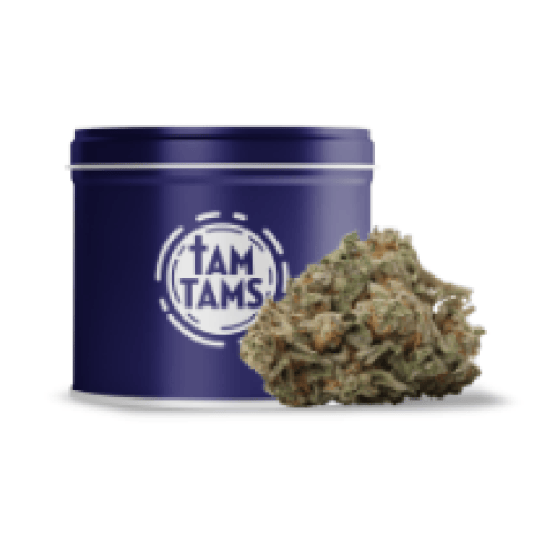 Cherry Bloom | Big Buds | 7g