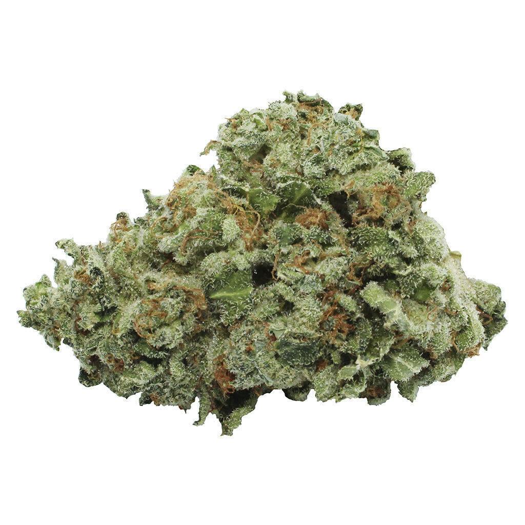 Honeydew Melon | Big Buds | 3.5g