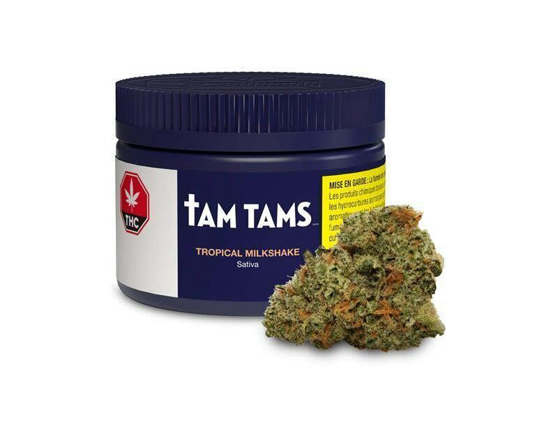 Tropical Milkshake | Big Buds | 7g