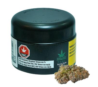 Banana Apple Pancakes | Big Buds | 3.5g