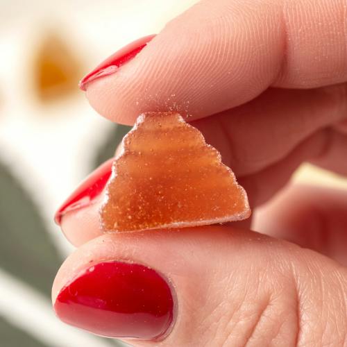 Focus Daytime Gummies | Gummies | 20pk | 5mg/ea