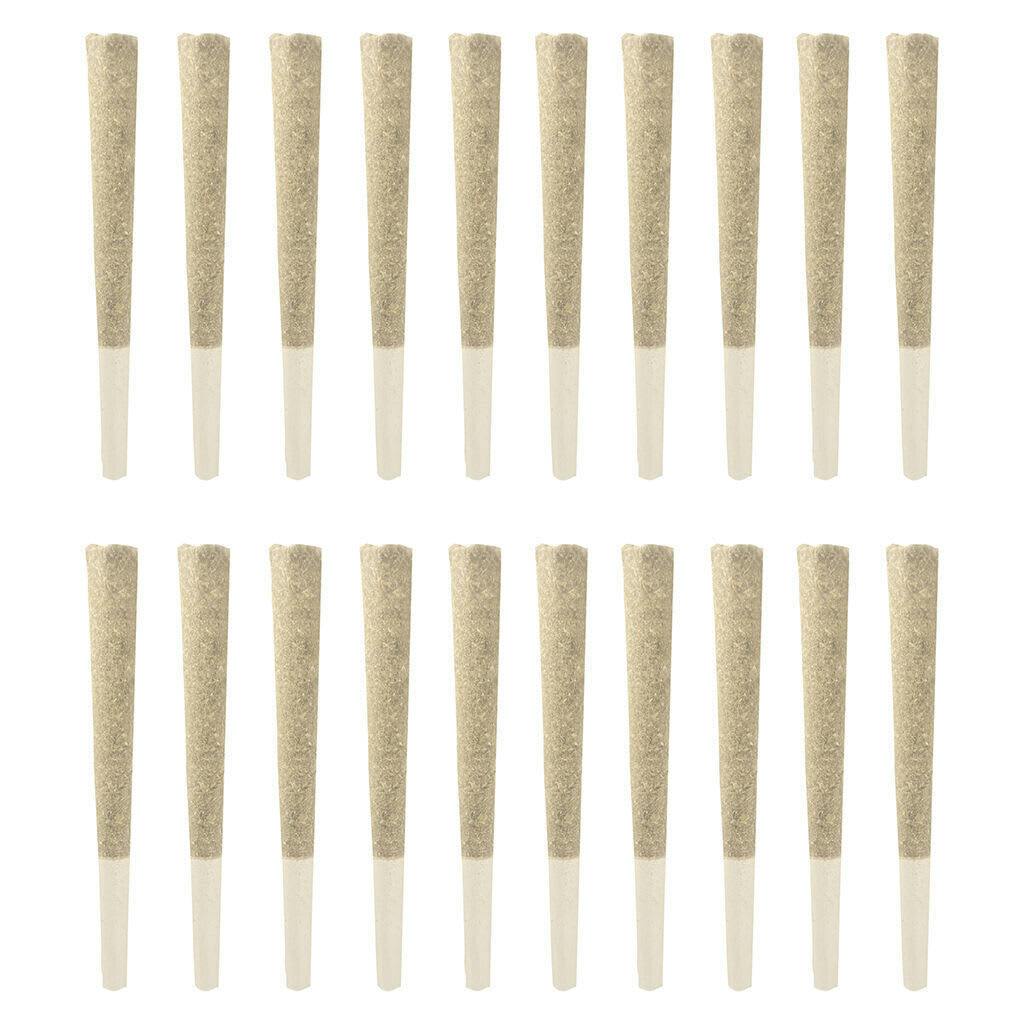 Amnesia Haze | Minis | 0.5g | 20pk