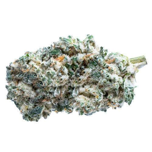 Kush Breath | Big Buds | 28g