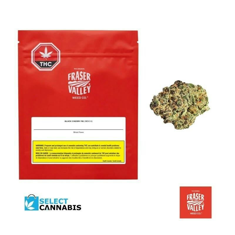 Black Cherry Pie | Big Buds | 14g