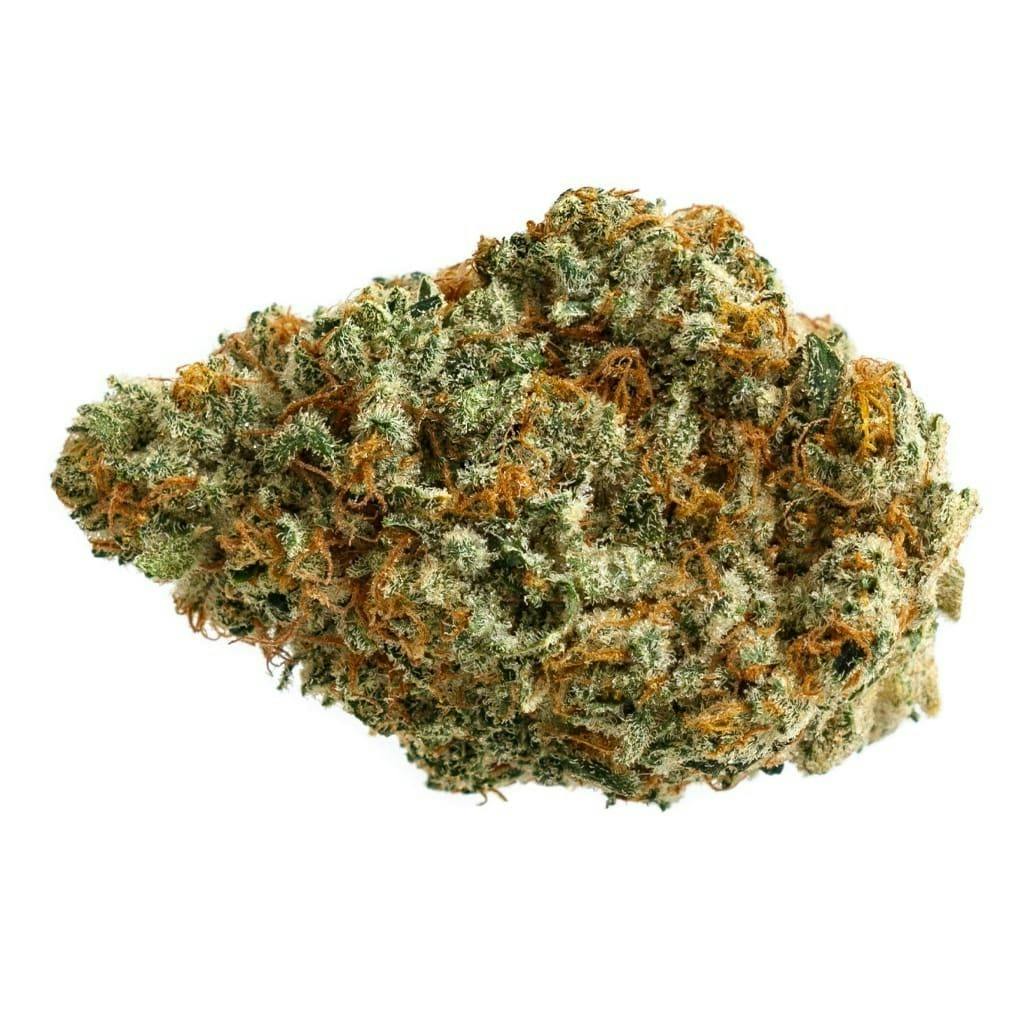 D. Burger | 28g