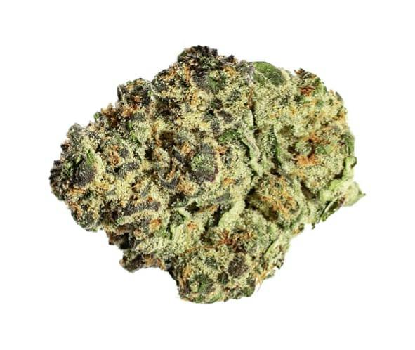 Black Cherry Pie | Big Buds | 0.5oz