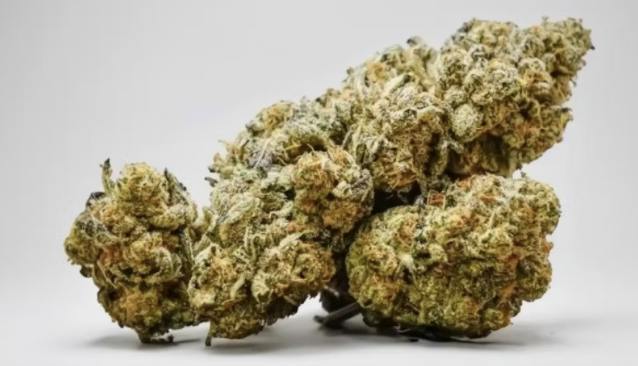 Cowboy Lemonade | 3.5g
