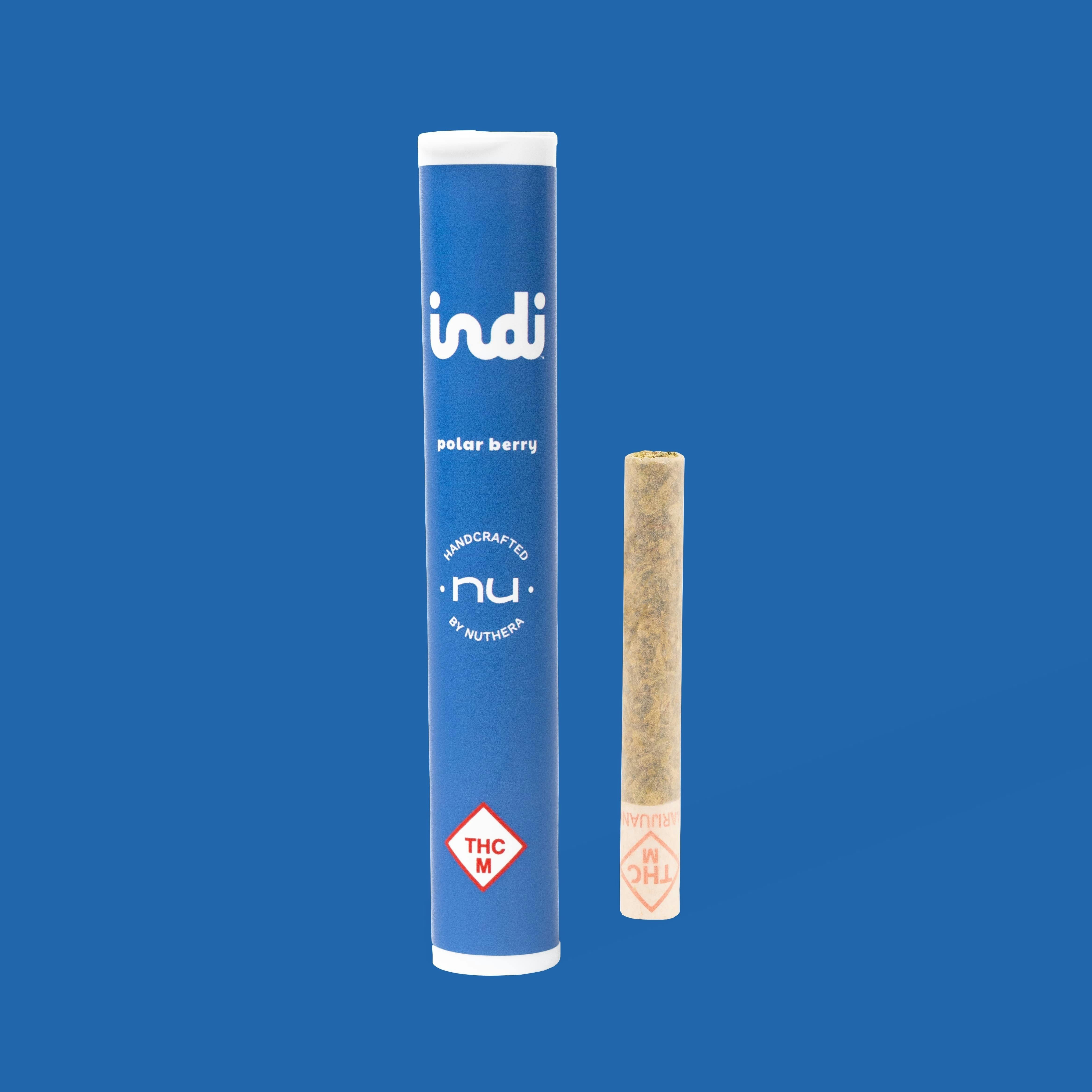 Polar Berry | Infused Minis | 0.5g | 2pk at Kind Goods Recreational Dispensary - Soulard