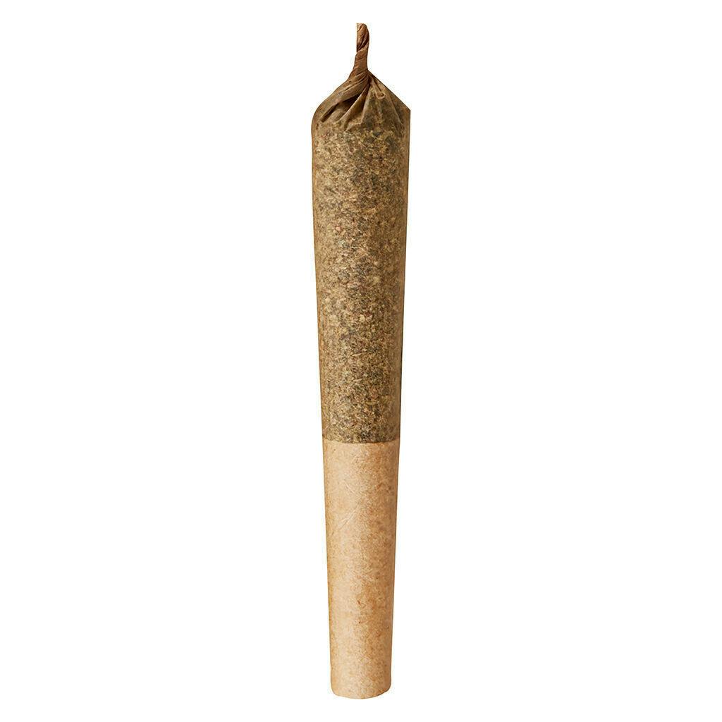 Indica Junior J | Minis | 0.35g