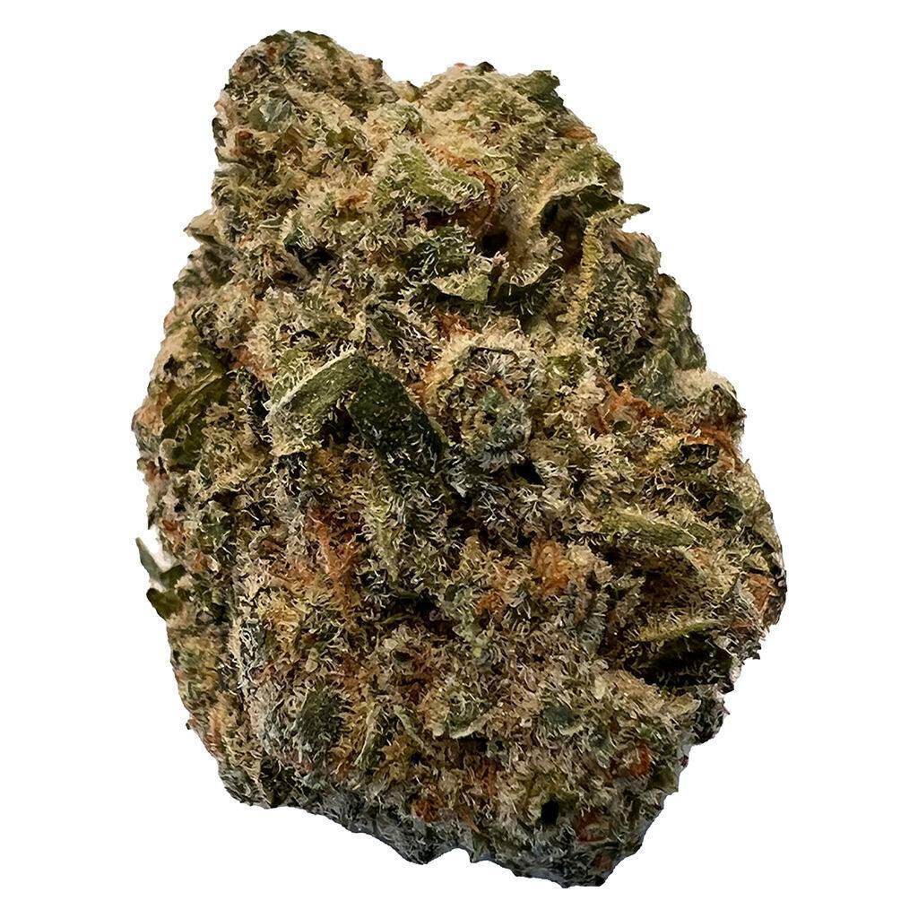 BC Purple Kush | Big Buds | 28g