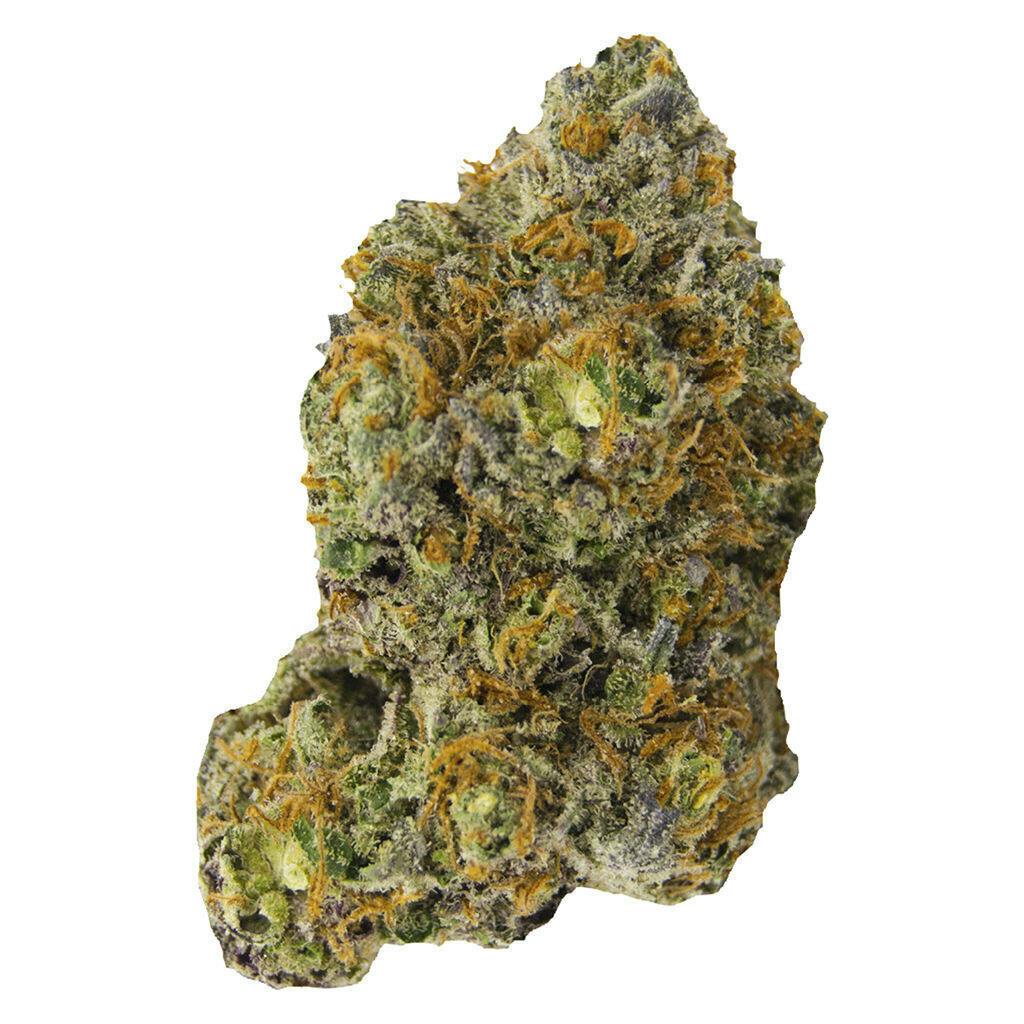 Critical Kush | 14g