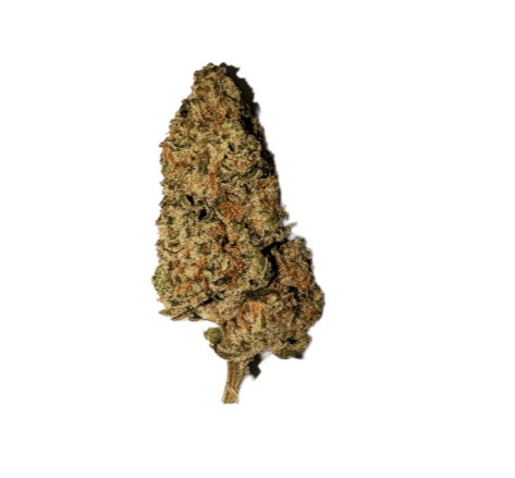 GSC | Big Buds | 7g