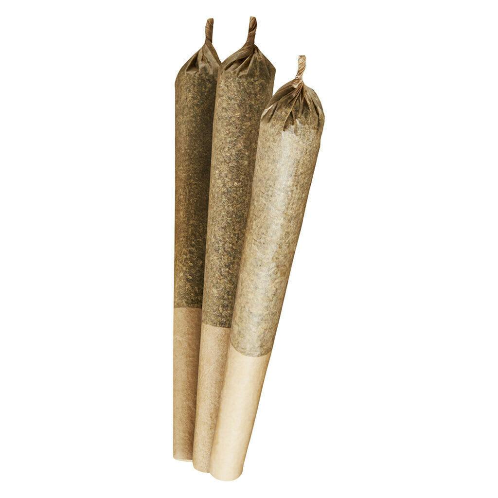 Purple Afghani | Minis | 0.5g | 3pk