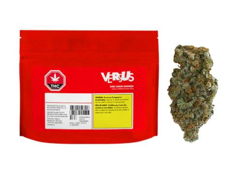 Girl Scout Cookies | Big Buds | 28g