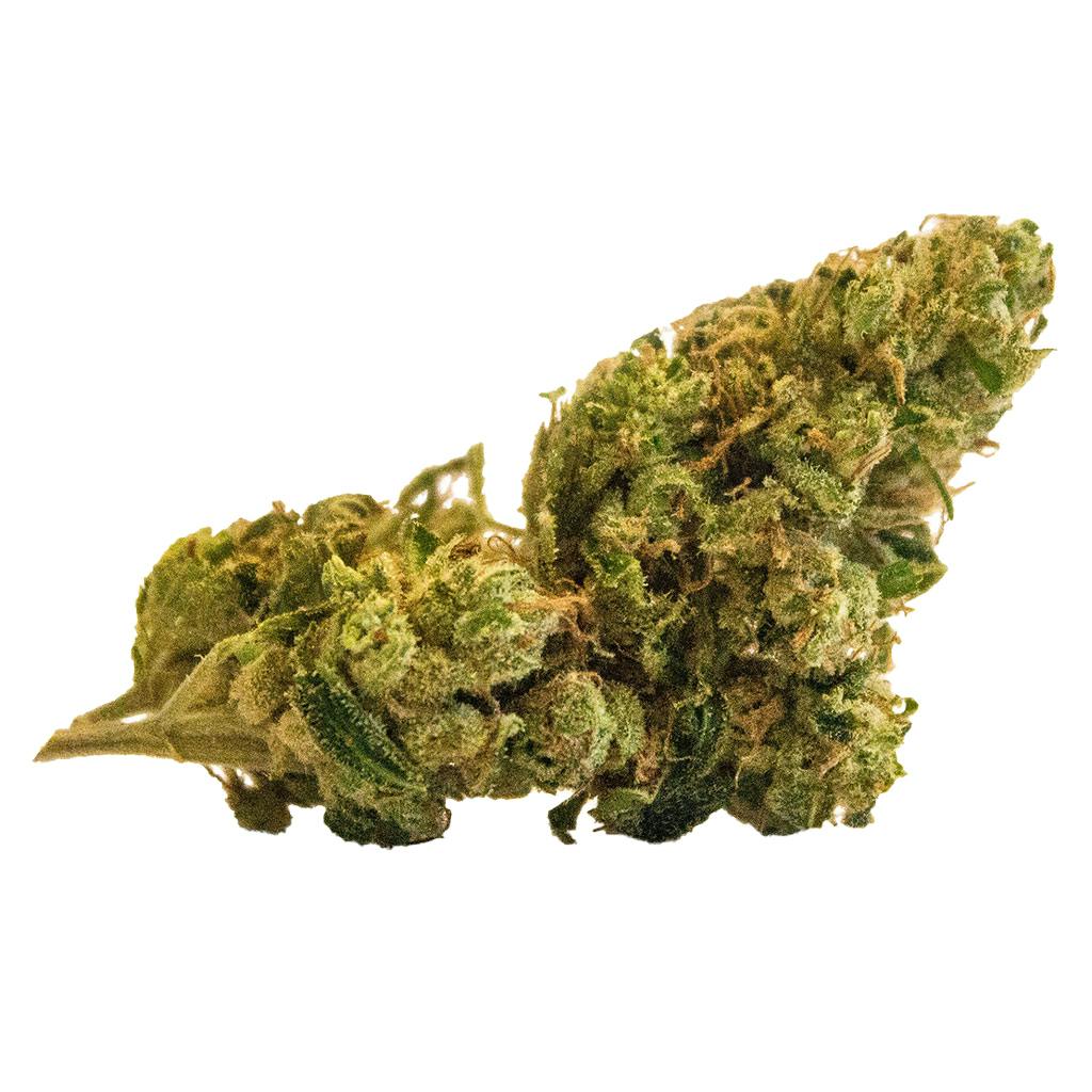 Super Lemon Haze | Big Buds | 28g
