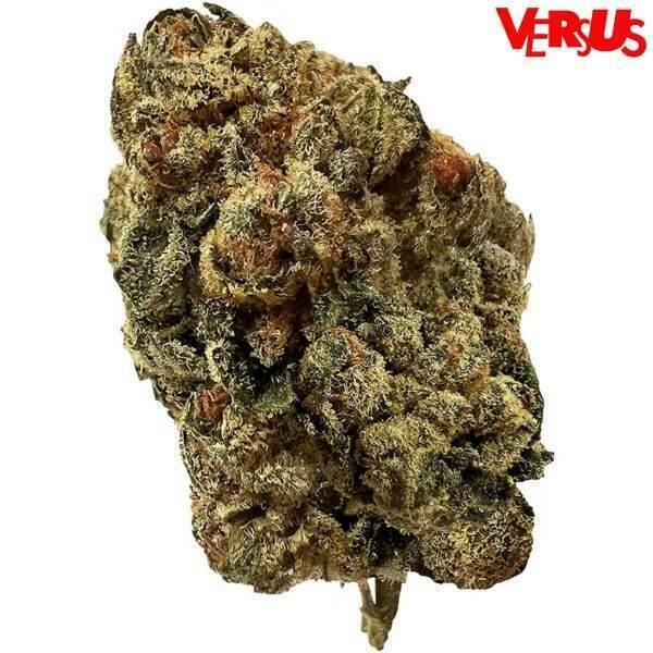 BC Sweet Island Skunk | Big Buds | 28g