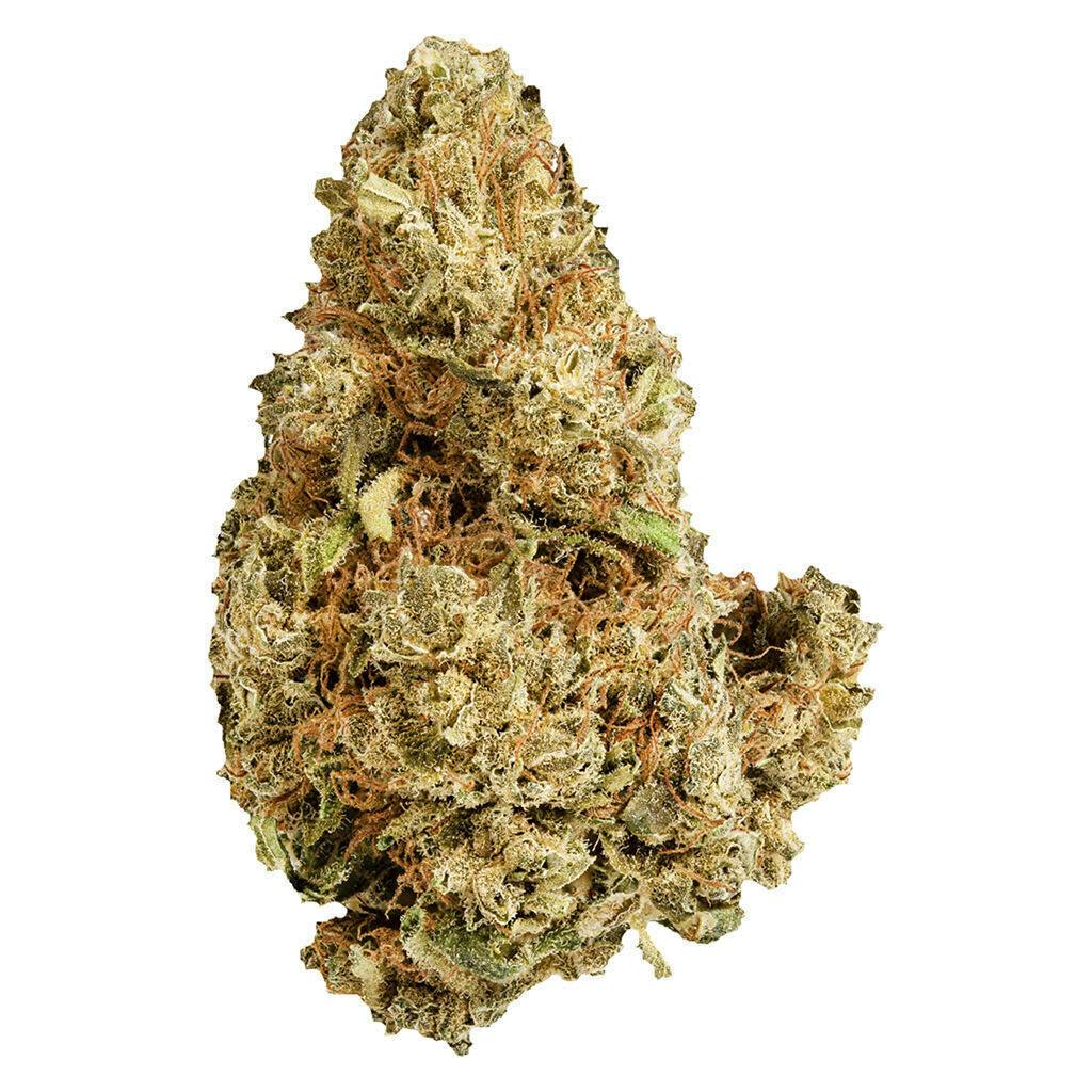 Purple Afghani | Big Buds | 28g