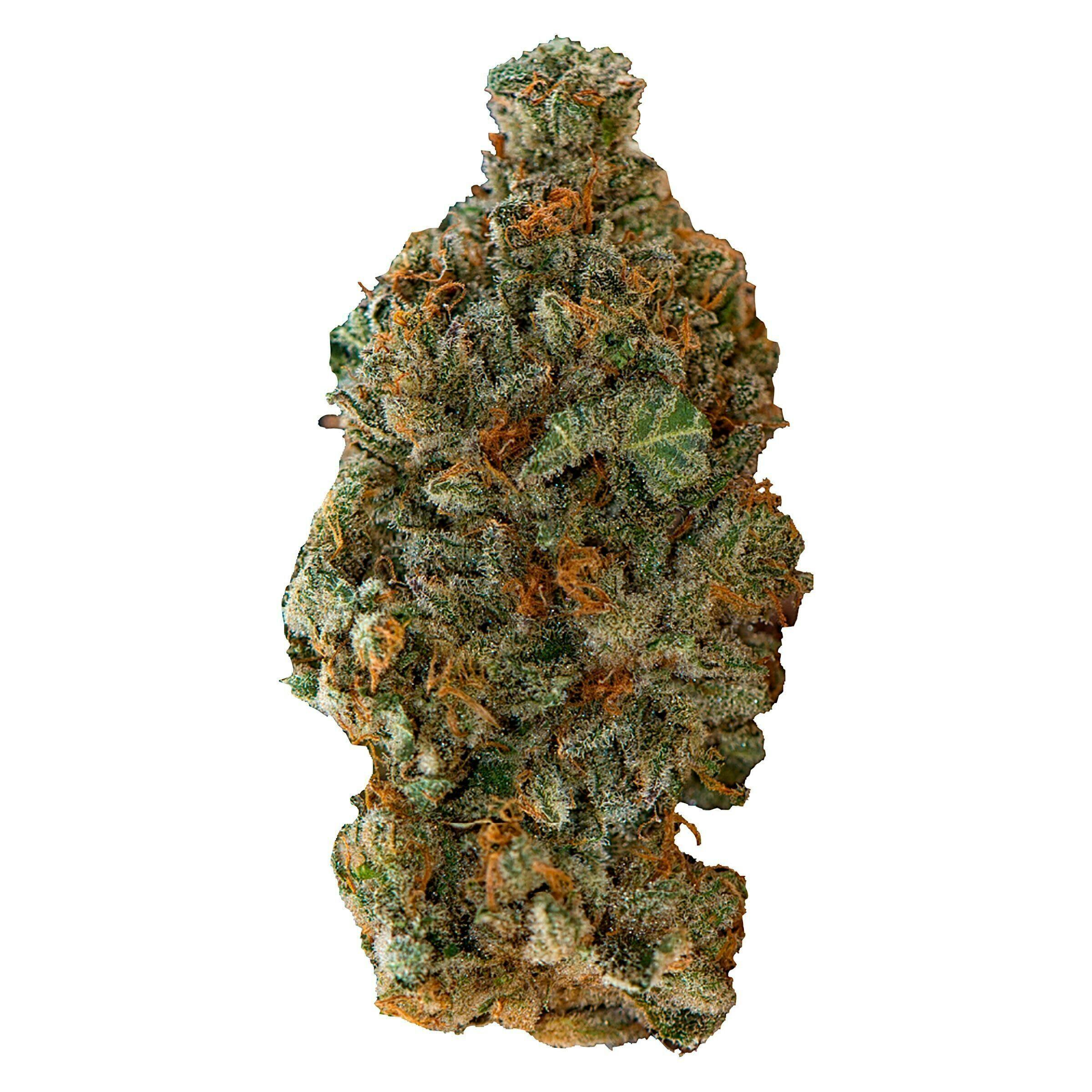 GSC | Big Buds | 28g