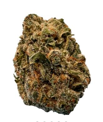 BC Purple Kush | Big Buds | 7g