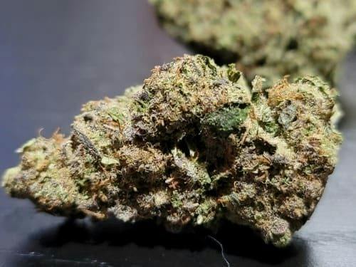Galactic Glue | Big Buds | 28g
