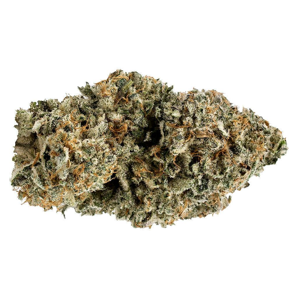 Budszilla | Big Buds | 14g