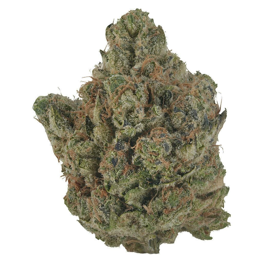Orange Turpentine | Big Buds | 3.5g