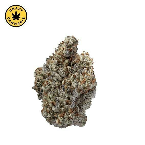 Beast Jars | Big Buds | 14g