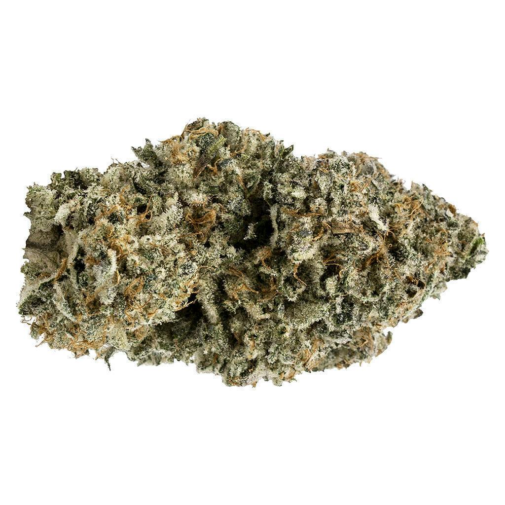Orange Turp | Big Buds | 7g