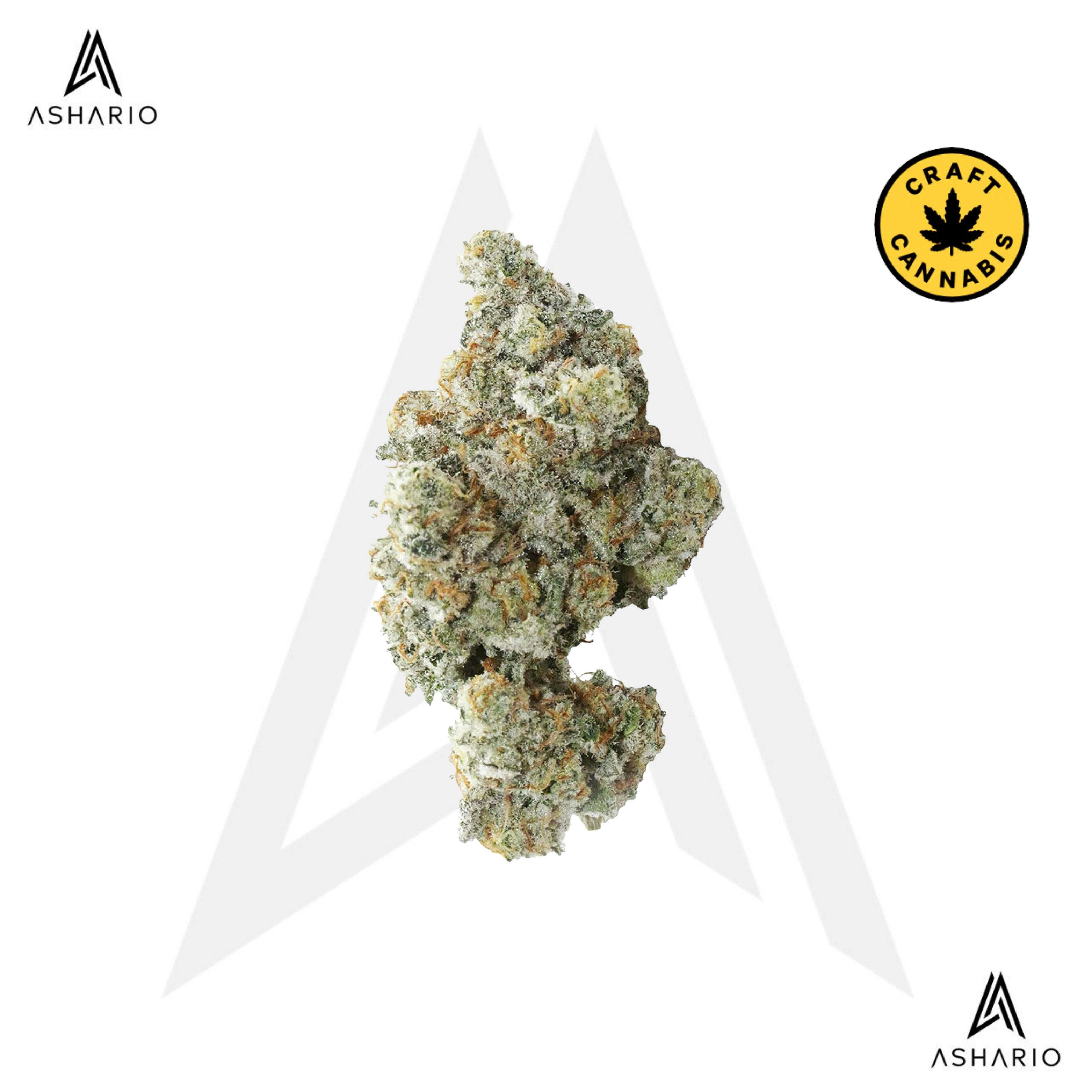 Marshmallow Milk | Big Buds | 7g