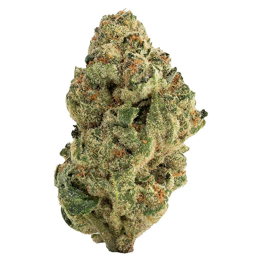 Venom OG | 14g