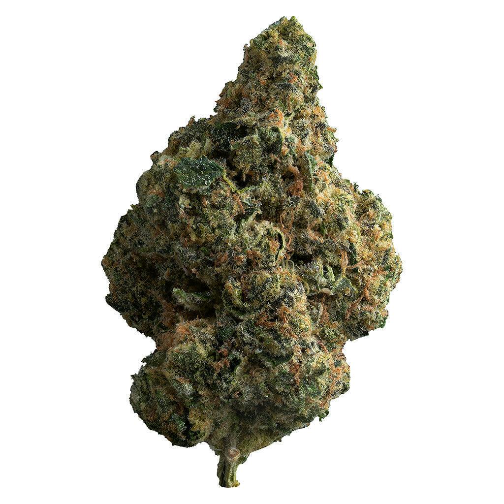 LA Pop Star | Big Buds | 28g