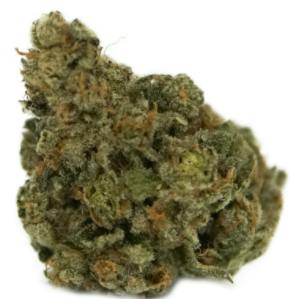 Exotic | Big Buds | 3.5g