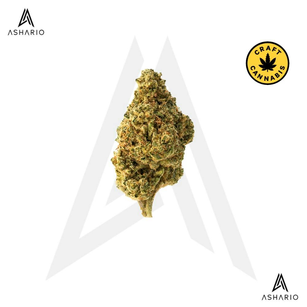 Tropicana Cookies | Big Buds | 28g