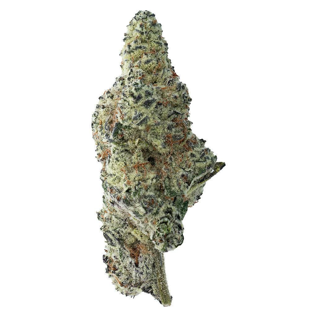 Tropicana Cookies | Big Buds | 14g