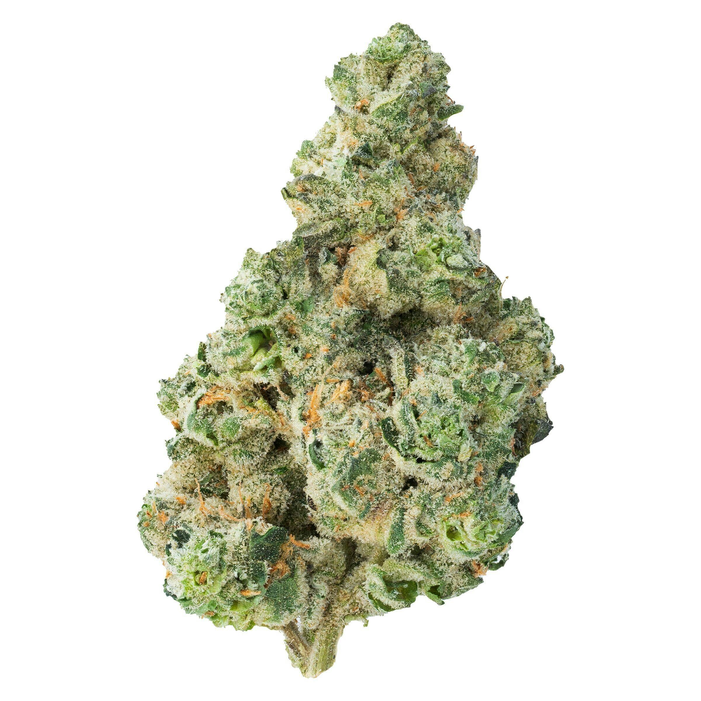 Cherry Diesel | Big Buds | 14g