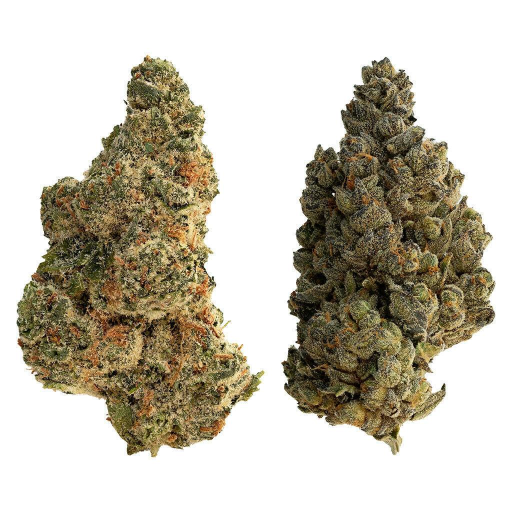 Splitter | Big Buds | 28g