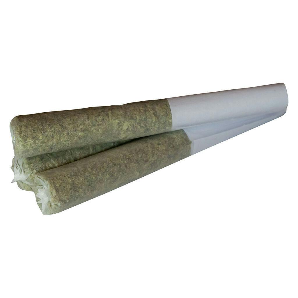 Tropical Meltdown | Minis | 0.5g | 3pk