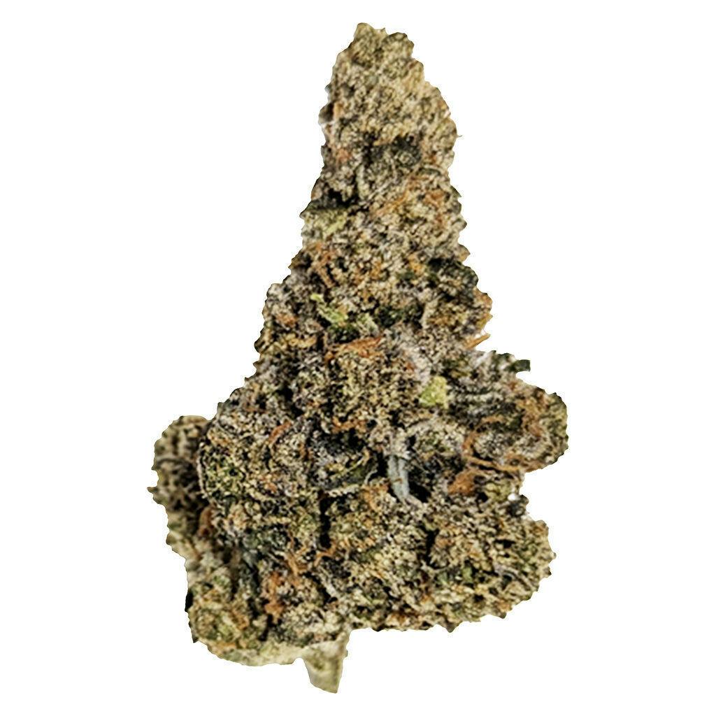 Gastro Pop Ultra | Big Buds | 3.5g