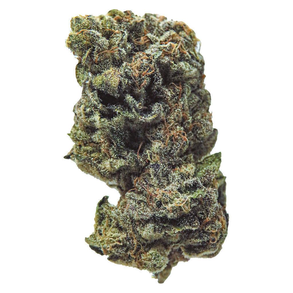 Gasolina | Big Buds | 3.5g