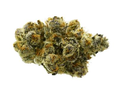 Gelato | Big Buds | 3.5g