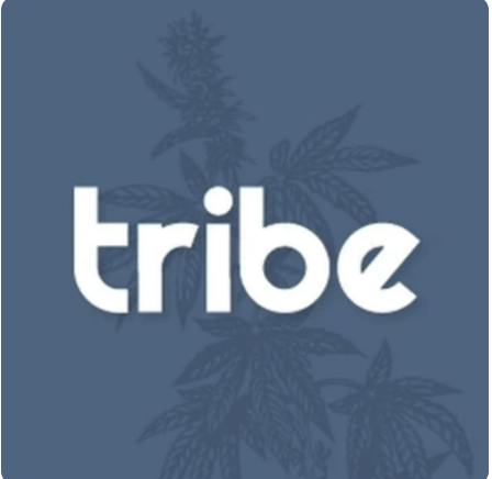 Tribe | Garlic Budder | 1g THCA + 1g Kief | Splits Concentrate