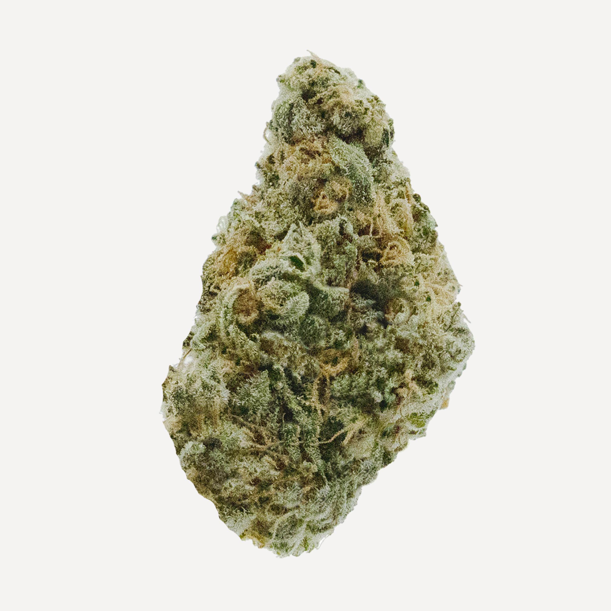 Grape Galena